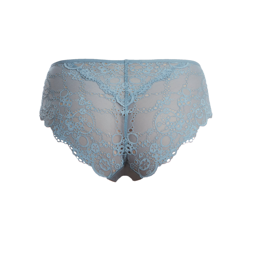 Charisma Lace Slip Briefs 360607