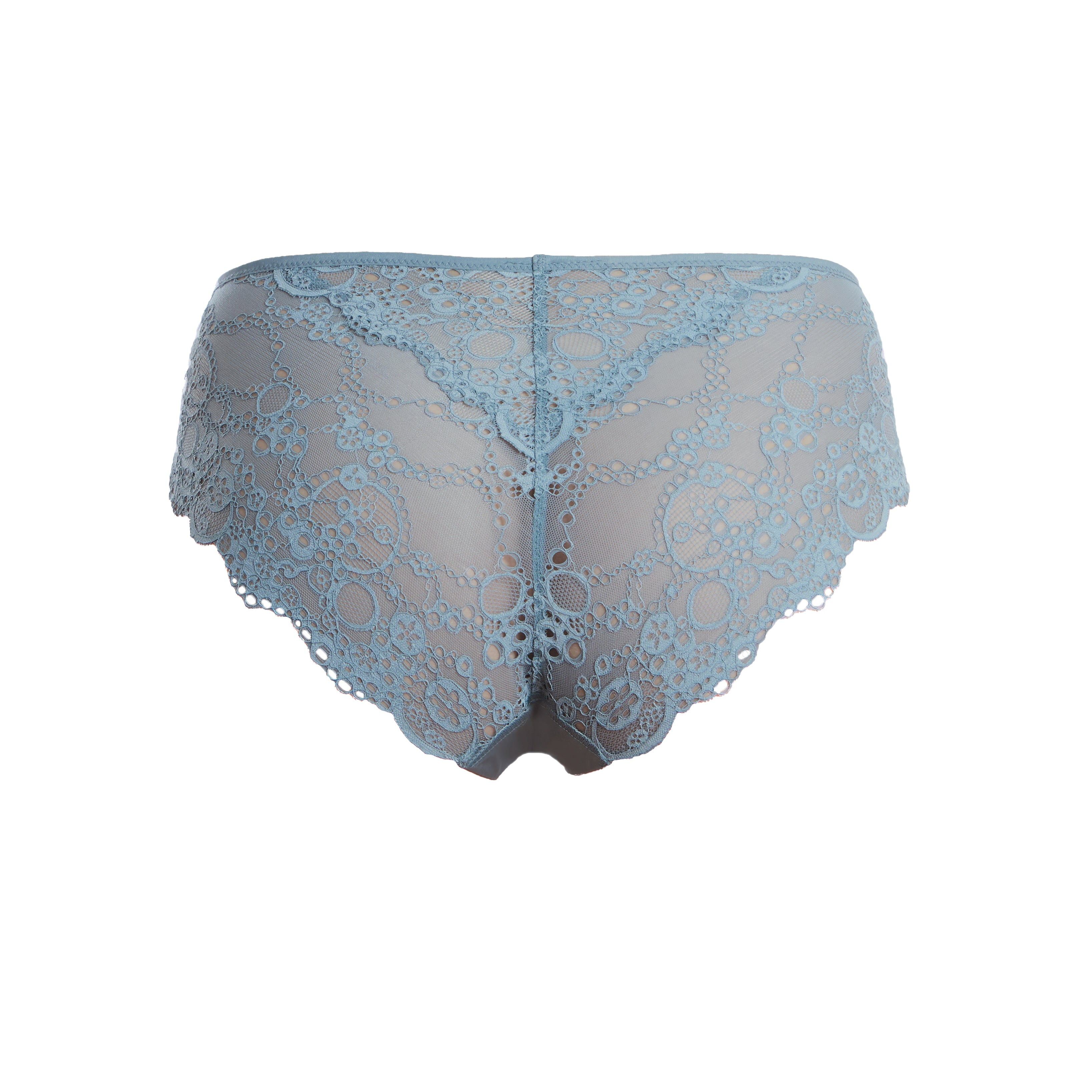 Charisma Lace Slip Briefs 360607